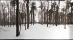 Dairy Bush GigaPan - 72 - Jan 12 2011