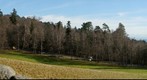 Neuenburg - View from Pierre-a-Bot