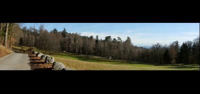 68779-400x189