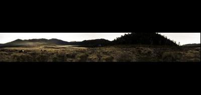 68783-400x189