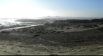 Elephant seals in Año Nuevo, California