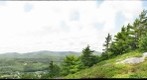 Mount Battie cliffside (Camden, ME)