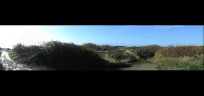68871-400x189