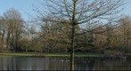 Stadspark Aalst Belgium