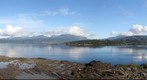 Narvik camping. bank of fjord