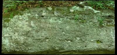 68960-400x189