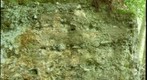 Mount Toby Conglomerate, Chard Pond, Sunderland, Massachusetts (5051B)