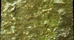 Mount Toby Conglomerate, Roaring Brook Falls, Leverett, Massachusetts (5052C)
