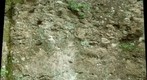 Sugar Loaf Arkose, Bull Hill, Sunderland, Massachusetts (5053A)