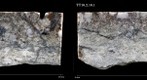 Geological Rock samplestake 2- Mark Smith