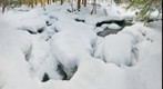 Winter along the Brook