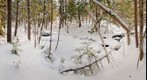 Lower Bicknell Brook