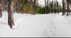 SRKG4 &amp; Star Lake Road