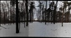 Dairy Bush GigaPan - 73 - Jan 19 2011