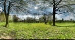 Park Narutowicza