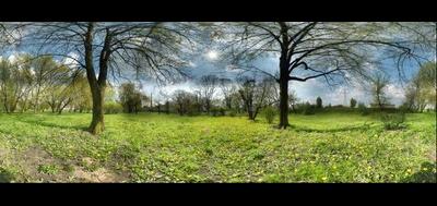 6904-400x189