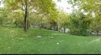 Mellat Park, Tehran(2)