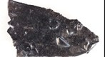 Titanium