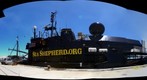 M.Y. Steve Irwin, in Freemantle, 15th Nov 2010