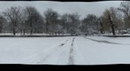 Cismigiu Park | Winter | Lake