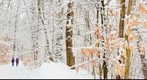 SRKG Trail 10 in winter