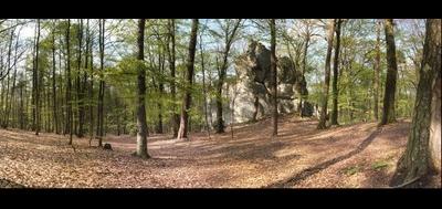 6933-400x189