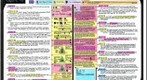 Palmoni Scrolls QA4 Full