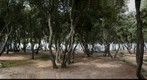 Camping Straško(1)