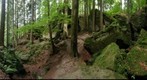 Haegelesklinge - Kaisersbach - 2008