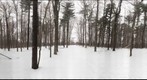 Dairy Bush GigaPan - 74 - Jan 25 2011
