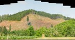 Northwest Logging