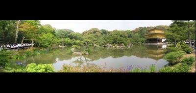 6951-400x189