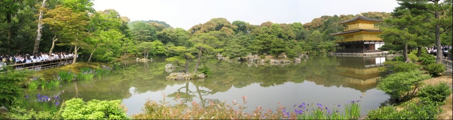 6951-900x240