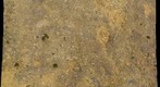 Inferior Oolite erosion surface, Dorset