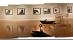 Crows on display at SWIC