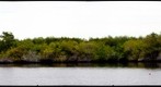 St. Lucie River
