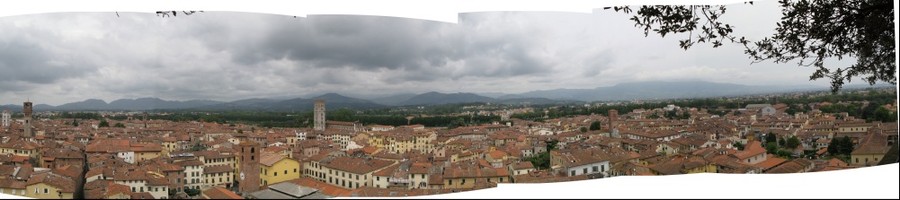 6962-900x200