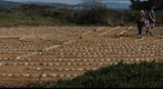 110113 Goleta, California UCSB lagoon island circular maze looking east