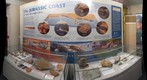 Sidmouth Museum geology display