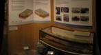 Wareham Museum geology display