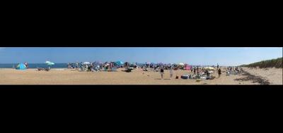 6994-400x189