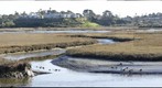 San Elijo Lagoon