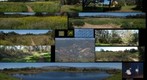 110202 Goleta, California, Lake Los Carneros collage of park walk