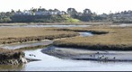 San Elijo Lagoon