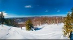 Snow Shoe over Bog Mountain