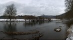 Donauversinkung im Winter 2010/2011