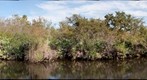 South Fork of the St. Lucie River