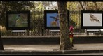 En Linea con la Ecologia 2