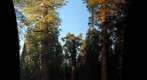 General Sherman