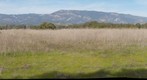 110204 Goleta, California, Sperling Preserve bluff trail view to Santa Ynez Mountain range